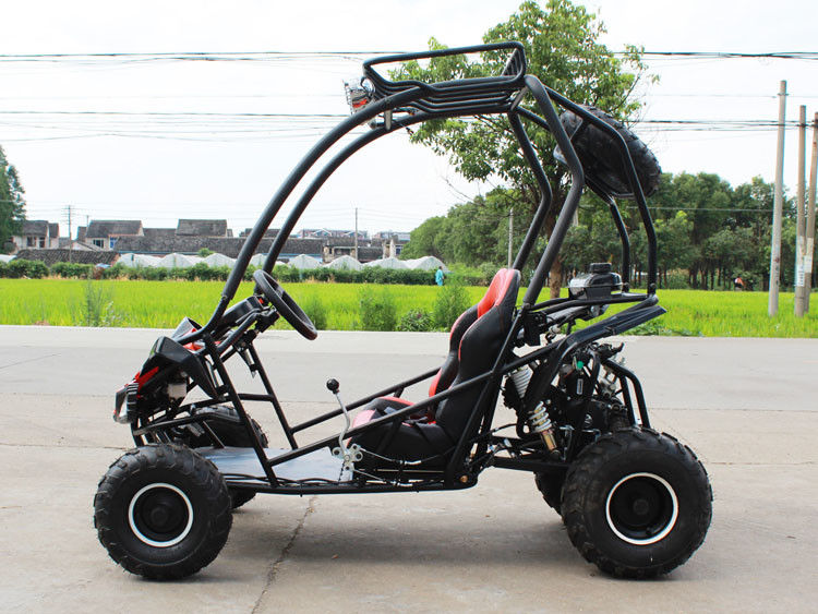 125cc kies Cilinder 2 Seater-Go-kart 4 Storke 154FMI met 3L-Tank uit