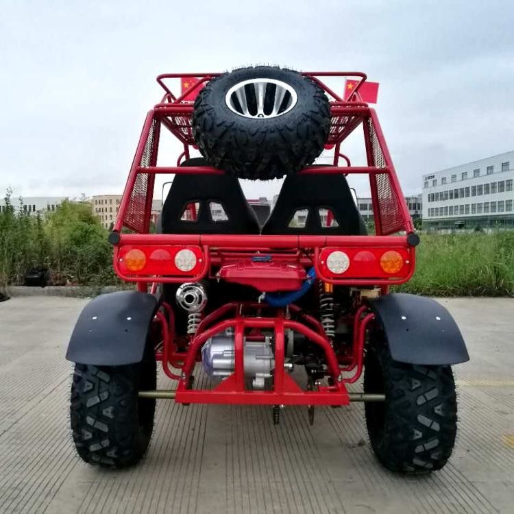 250cc het grote Water Met fouten die van het Groottego-kart met Onafhankelijke Opschorting met 4 wielen wordt gekoeld