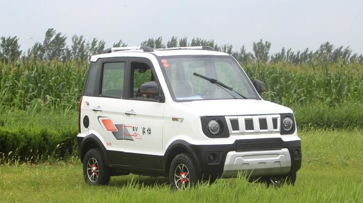 Vier Karren Minigrootte 1500w van het Wielen Elektrische Golf met meer dan 500km Waaier