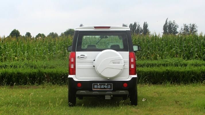 Vier Karren Minigrootte 1500w van het Wielen Elektrische Golf met meer dan 500km Waaier