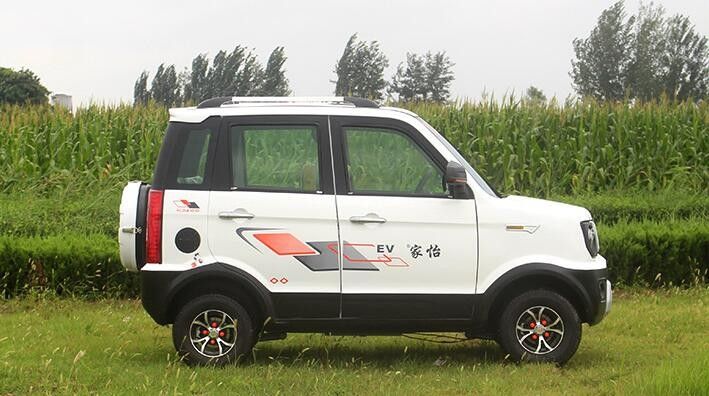 Vier Karren Minigrootte 1500w van het Wielen Elektrische Golf met meer dan 500km Waaier