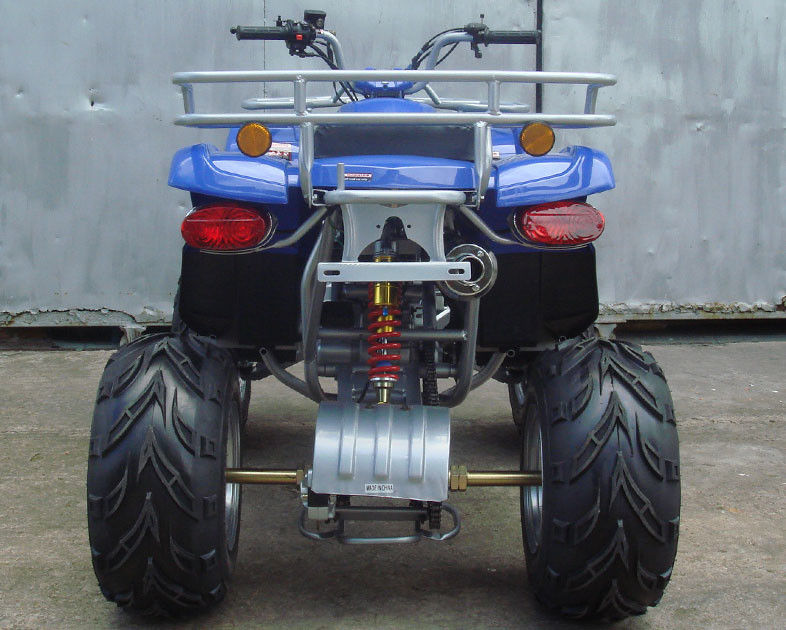 Grote Fiets 10 van de Grootte Automatische ATV 150cc Vierling het“ Grote Binnenlandse Omgekeerde van Bandcvt