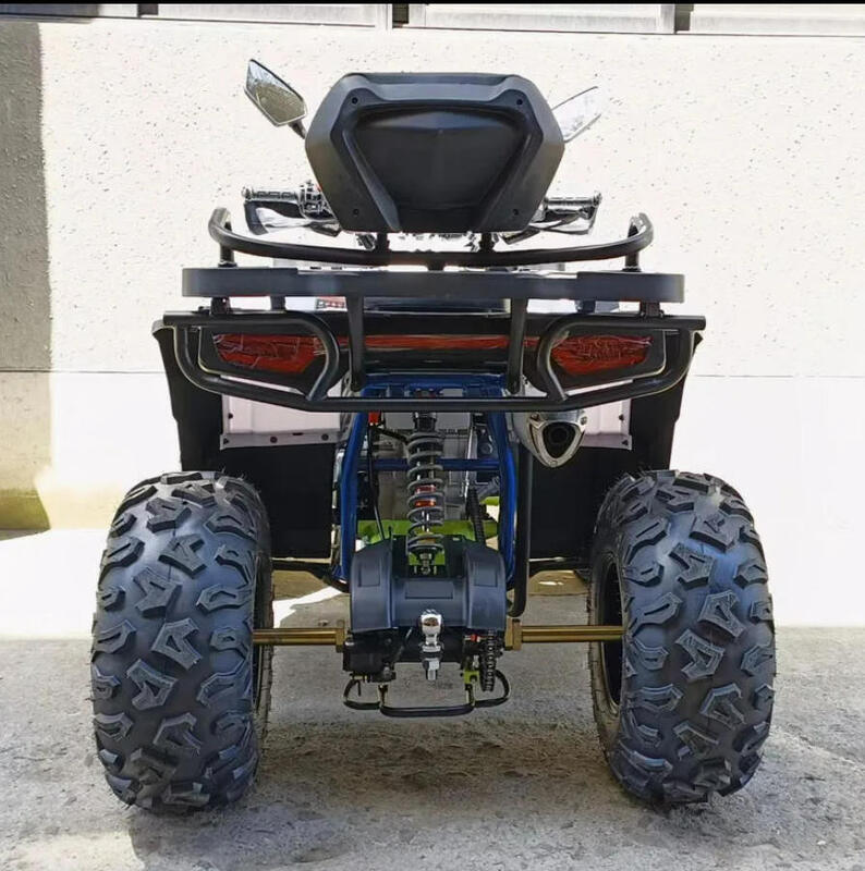 Warm te verkopen ATV 200cc 300cc Quad Bike Populaire Chinese Power Engine Wielen Rem Transmissie Automatisch