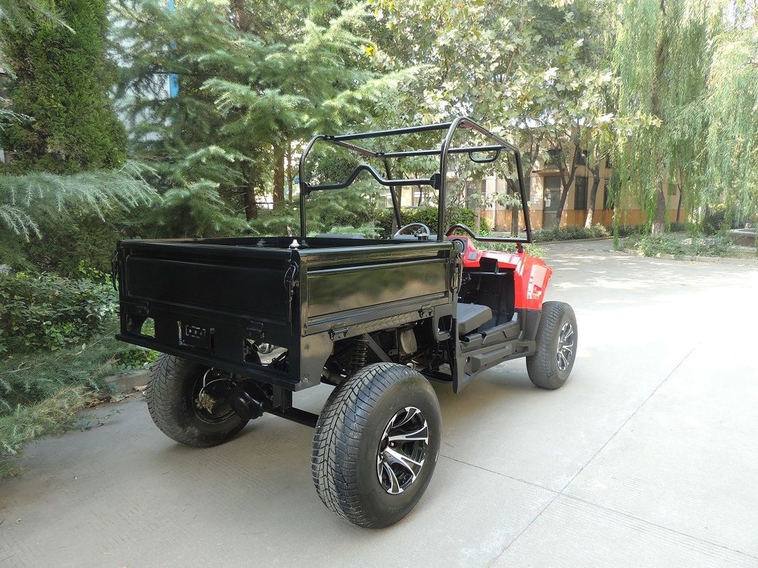 Enige Driveline van het Nutsvoertuigen 2X4 van het Cilindergas Type 250cc 4 Slag