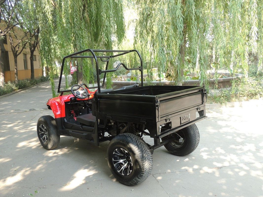 Enige Driveline van het Nutsvoertuigen 2X4 van het Cilindergas Type 250cc 4 Slag
