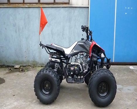 De elektrische Beginjeugd die van de de Trommelrem van ATV de Voorbatterij van de de Schijfrem 12V 4AH Achter rent