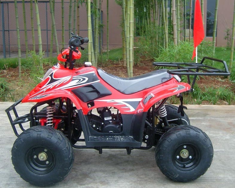 Voor Dubbele van de de Vierlingfiets 80KG van het Schommelingswapen 70cc ATV Maximum de Ladings Hoge Prestaties