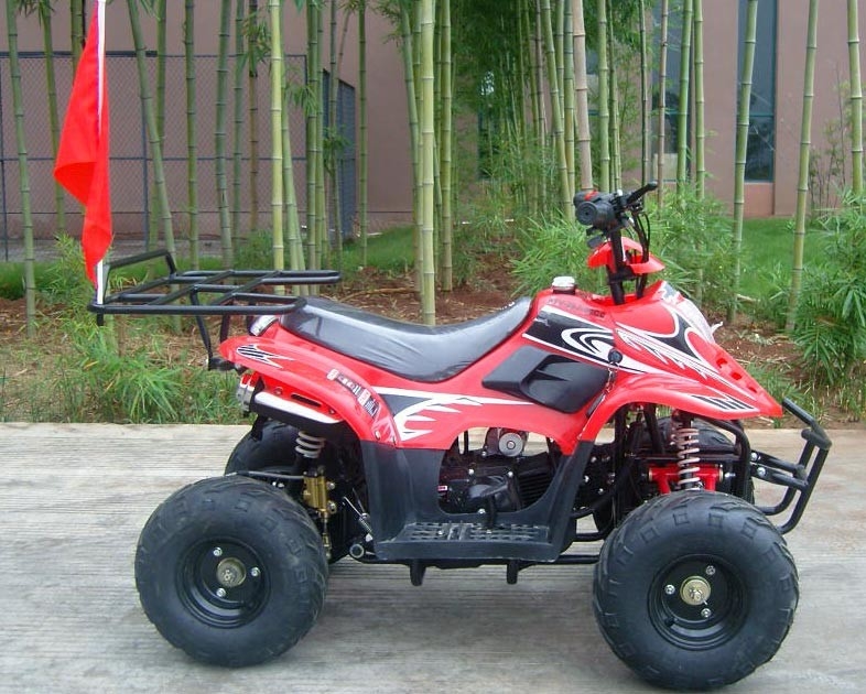 Voor Dubbele van de de Vierlingfiets 80KG van het Schommelingswapen 70cc ATV Maximum de Ladings Hoge Prestaties