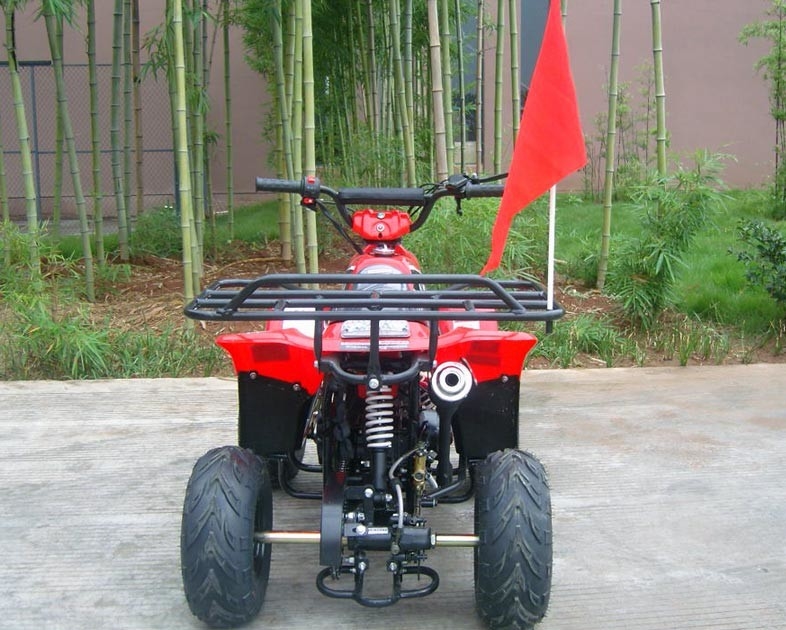 Voor Dubbele van de de Vierlingfiets 80KG van het Schommelingswapen 70cc ATV Maximum de Ladings Hoge Prestaties