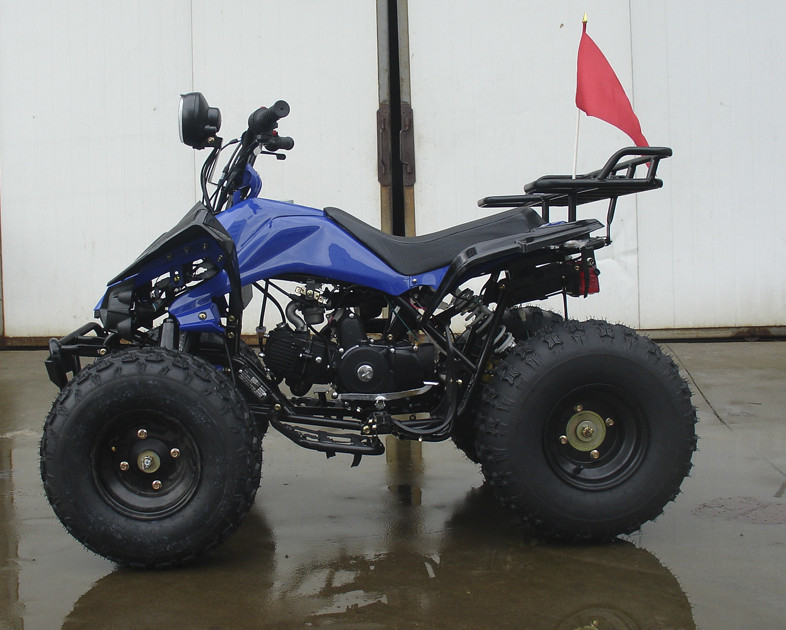 8“ de Bandenlucht Gekoelde Jeugd die ATV 4 Speculantmotorfiets 110cc voor Bosweg rennen
