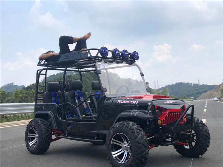 4 de Jeepgo-kart Met fouten 300cc van Toyota van het zetelsgo-kart Volwassen met Autotransmissie