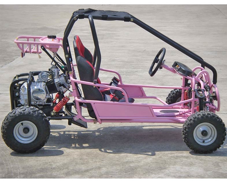 Van het de Verrichtingsgo-kart van de voetrem 4 Slagctv Elektrisch Begin Met fouten Automatisch met Omgekeerde
