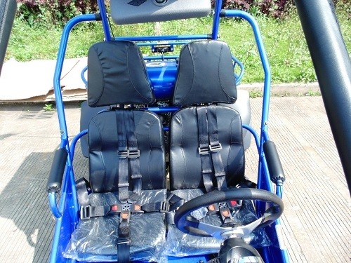 2,25 Gal 17,4 HP-CDI Ontsteking 300cc CVT EFI Go Kart Buggy