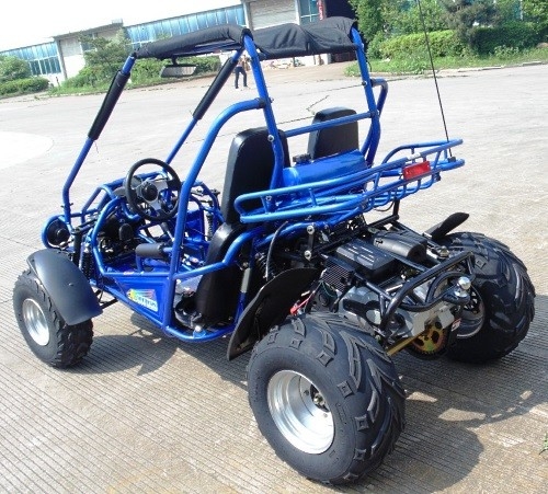 2,25 Gal 17,4 HP-CDI Ontsteking 300cc CVT EFI Go Kart Buggy