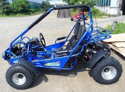 2,25 Gal 17,4 HP-CDI Ontsteking 300cc CVT EFI Go Kart Buggy