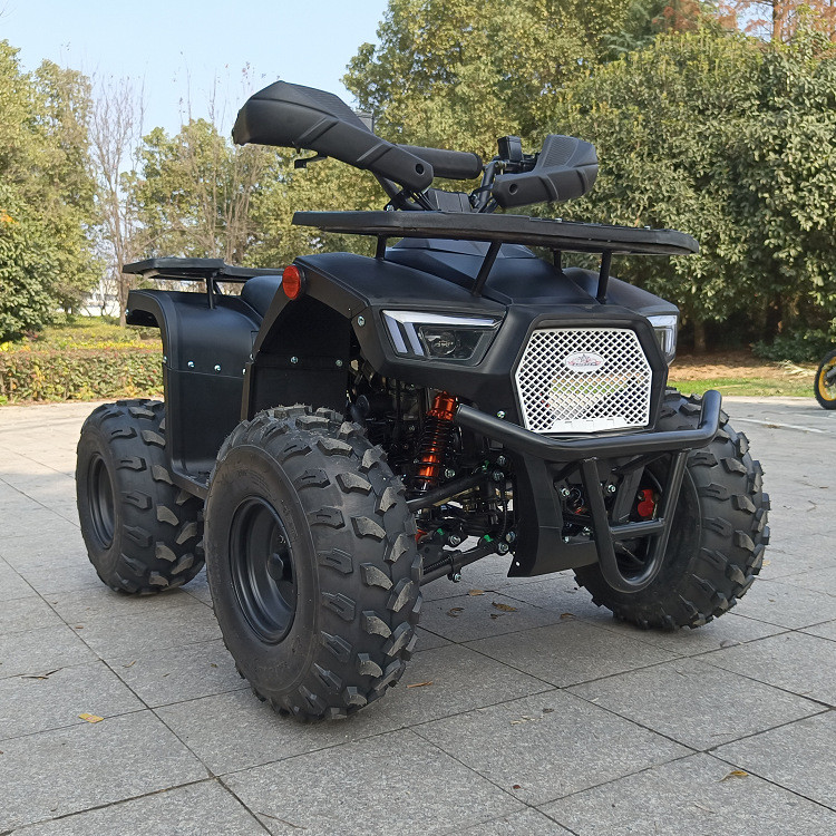 125cc de vierwielige Viertakt Enige Cilinder Max Horsepower 8.0kw 9500r/Min van Atv