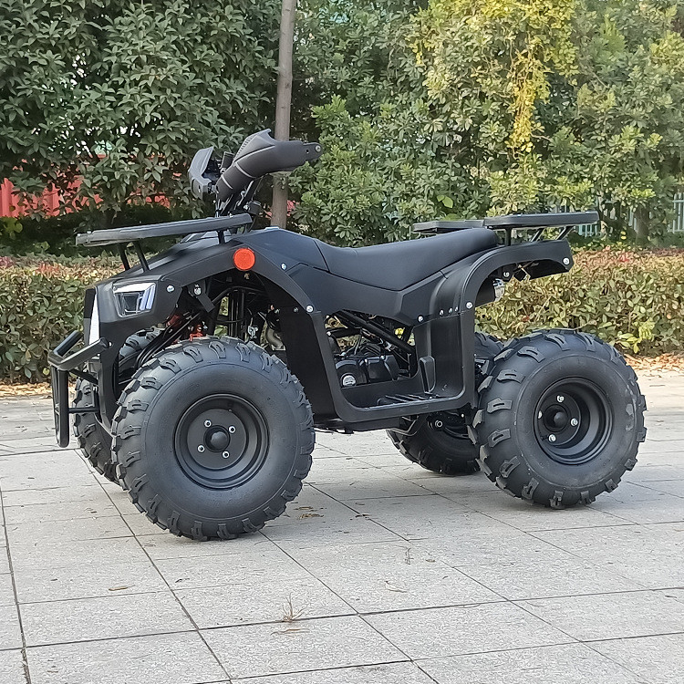 125cc de vierwielige Viertakt Enige Cilinder Max Horsepower 8.0kw 9500r/Min van Atv