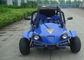 Water Cooling 250cc Cool Go Karts , 2 Seater Go Kart With CVT Clutch